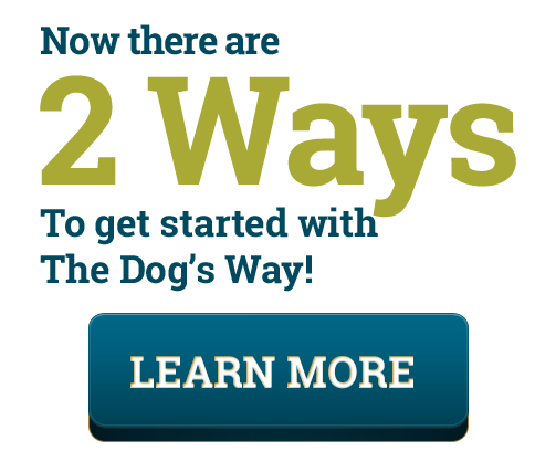 dog training online dvd